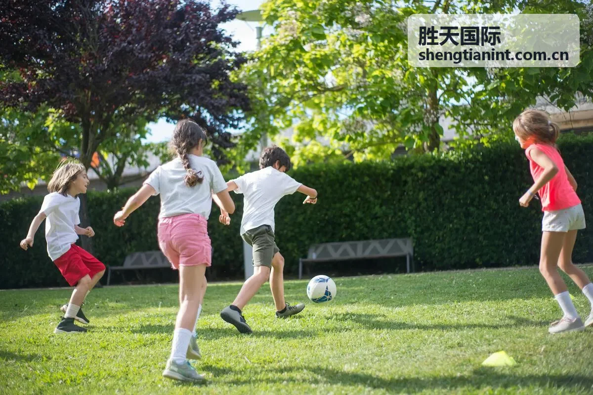 胜天国际跨境投融资业务